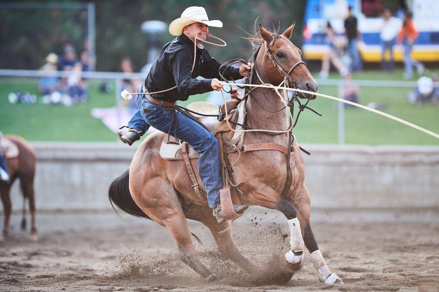 Truckee Pro Rodeo