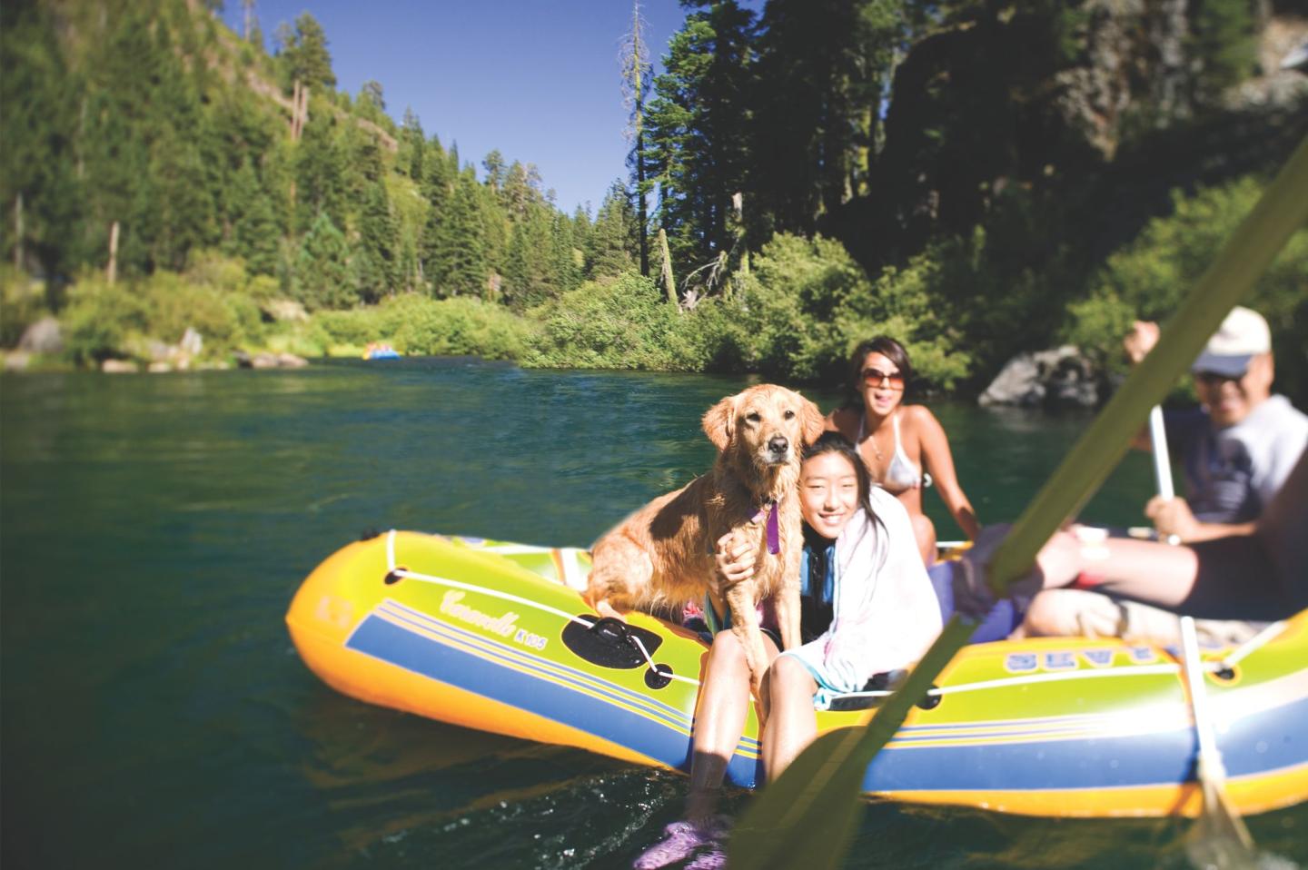 Group rafting with a golden retriever on a sunny river, surrounded by trees.