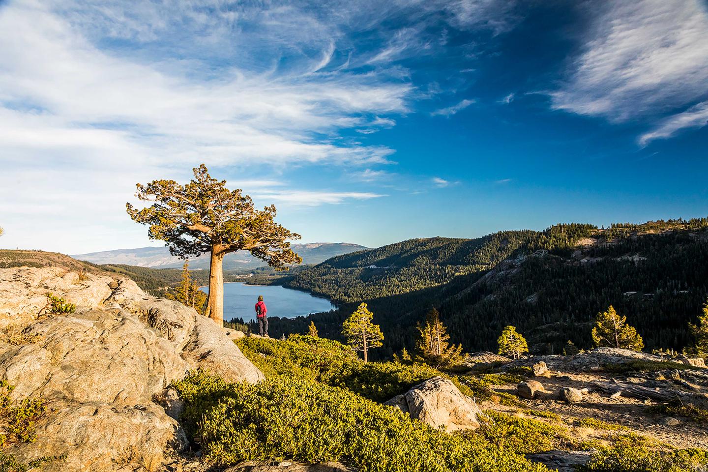 Mountain landscape with lone tree, person in red jacket, and lake under blue sky.