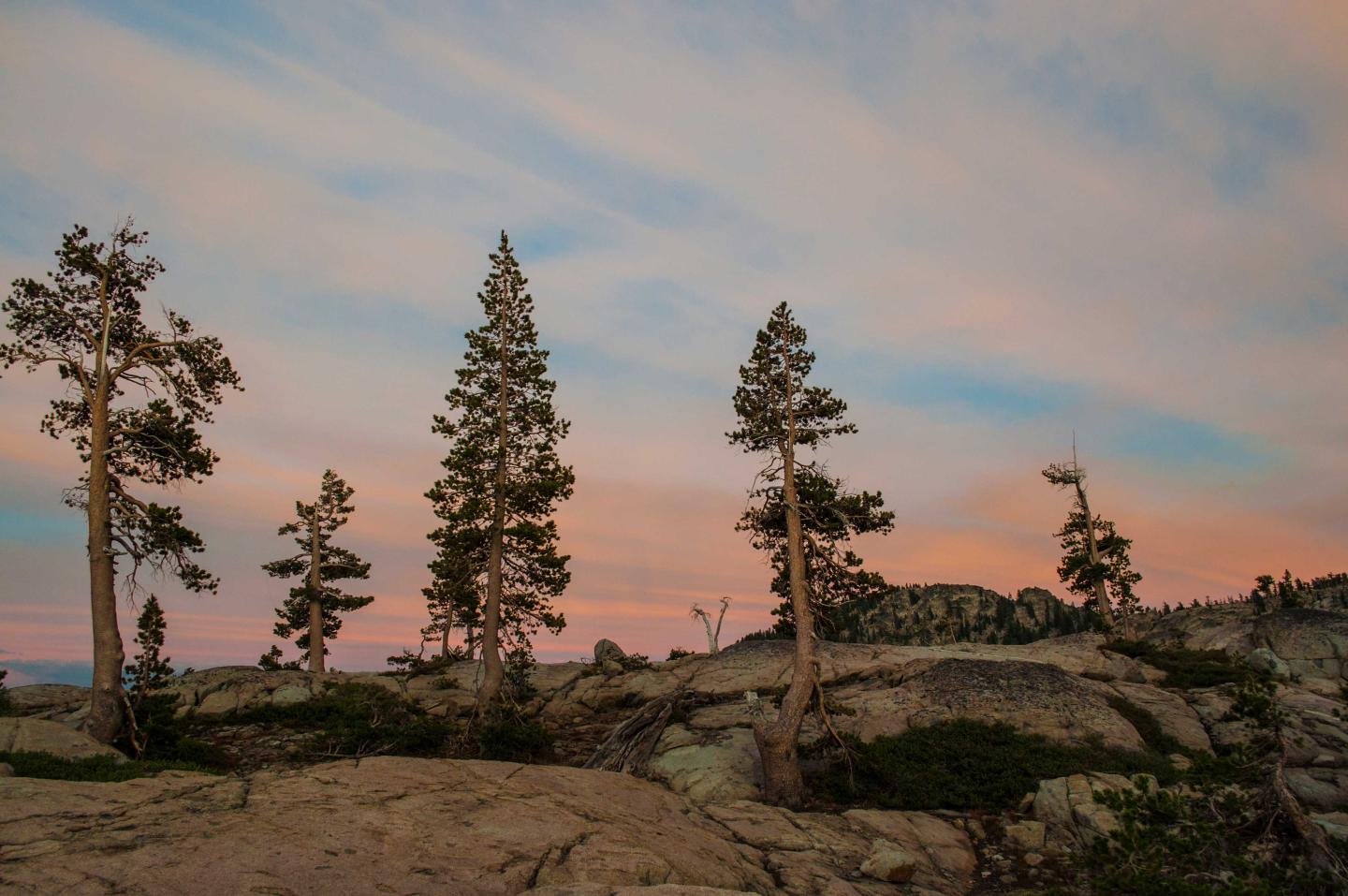 Rocky landscape with trees at sunset, pink and blue sky.