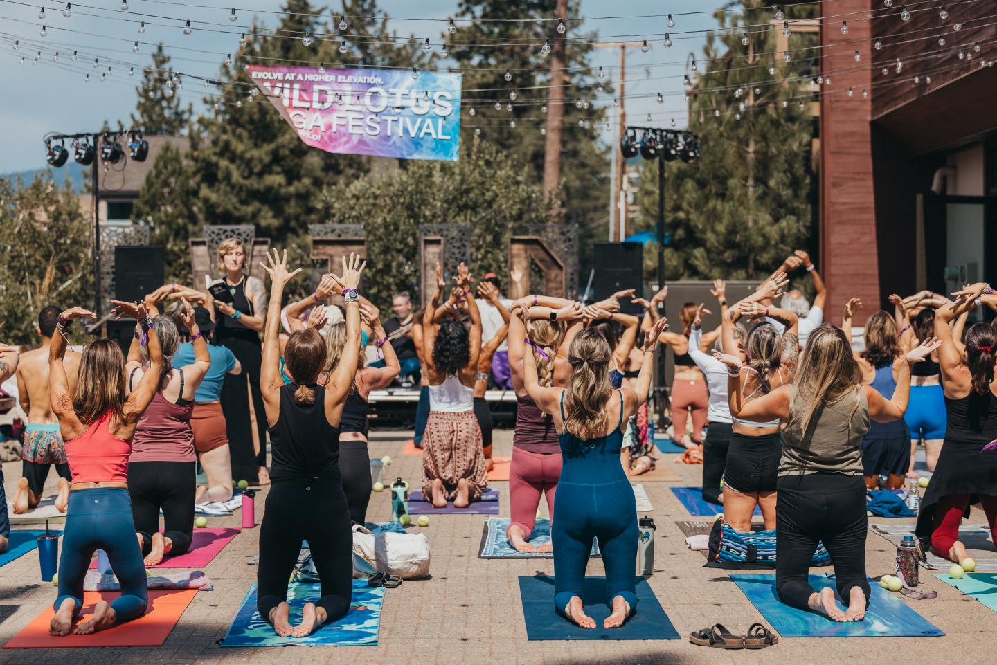 Wild Lotus Yoga Festival 