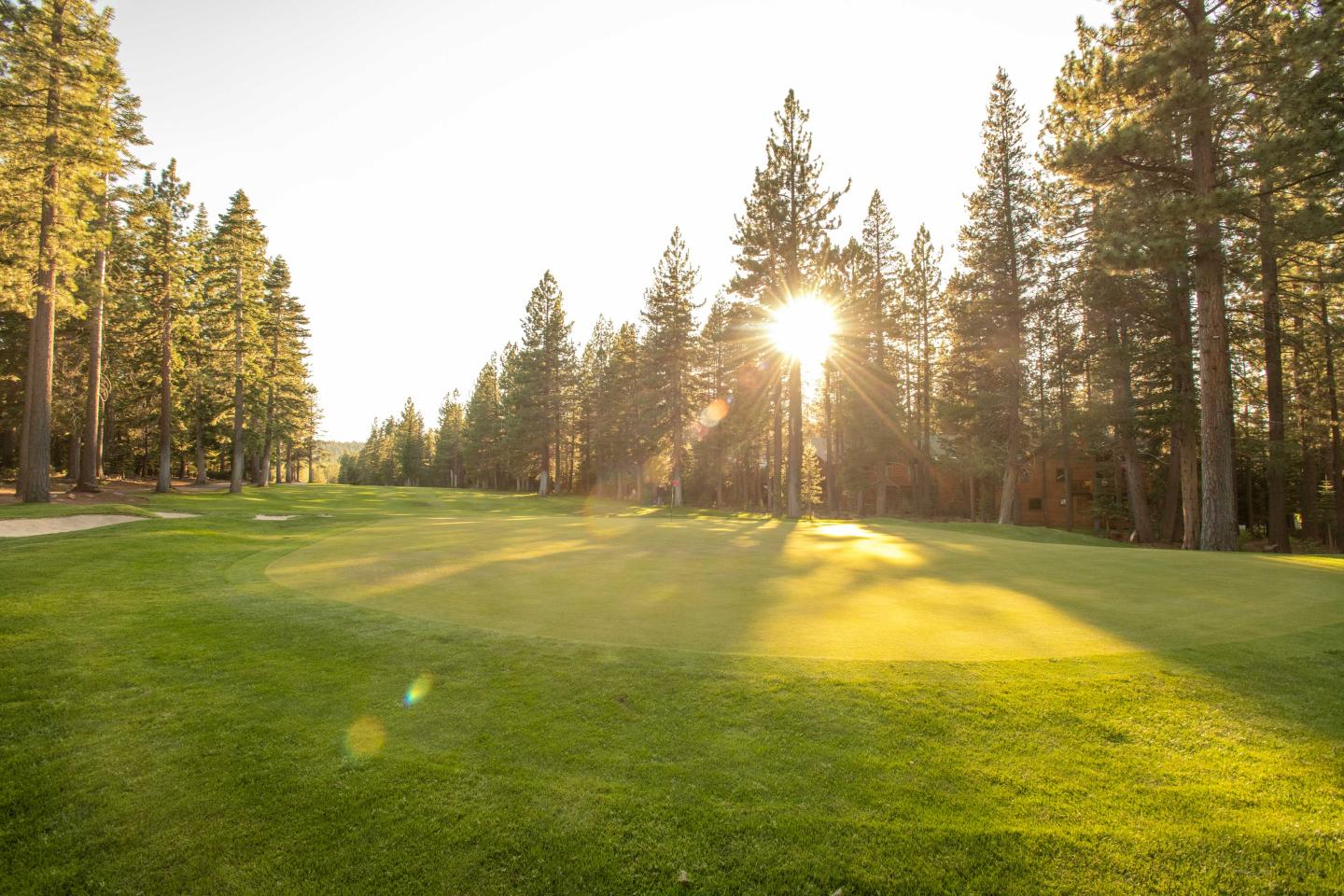 Sunlit golf course surrounded by tall trees.
