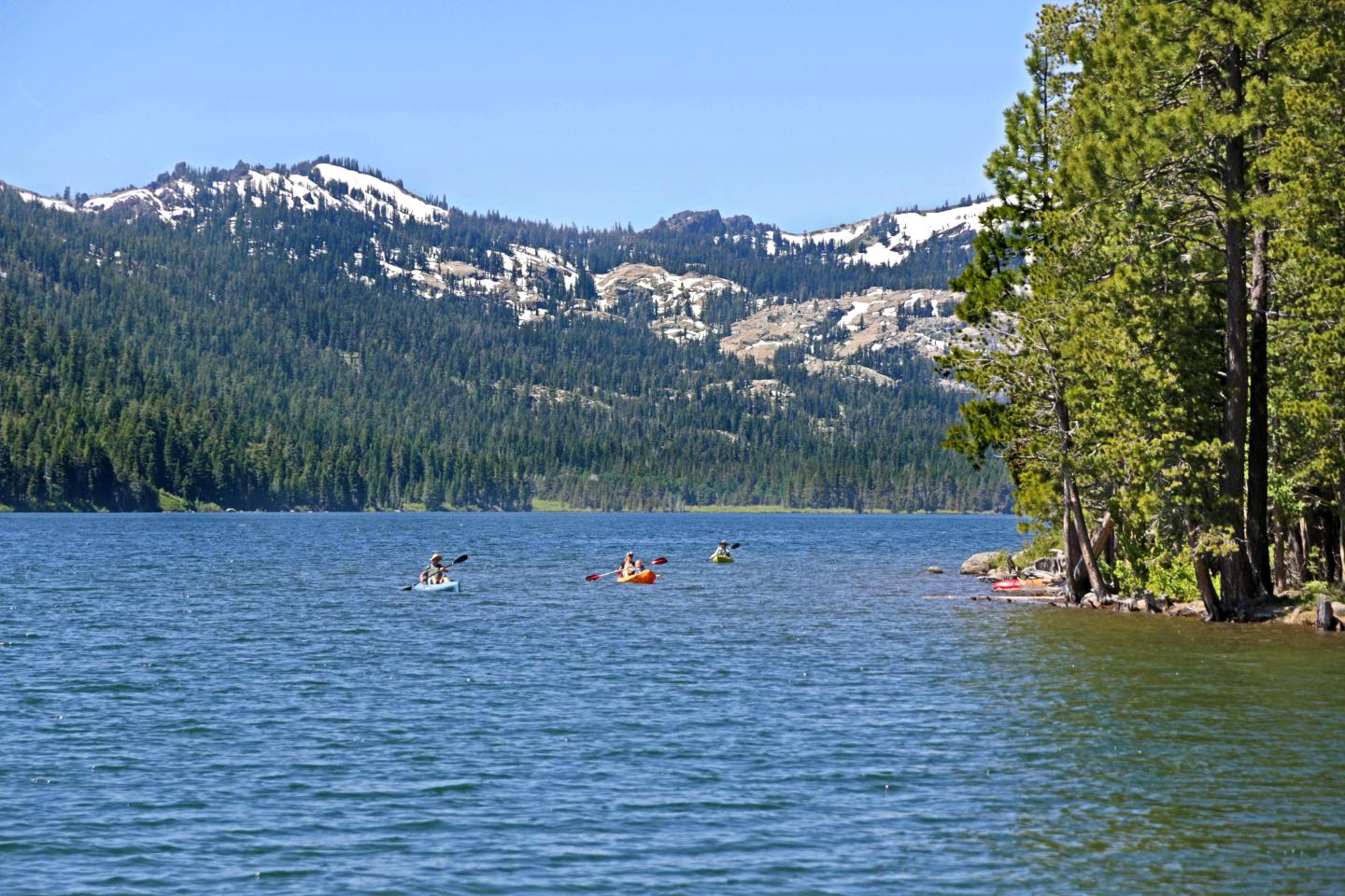 Kayakers on a lake with forested mountains and trees under a clear blue sky.