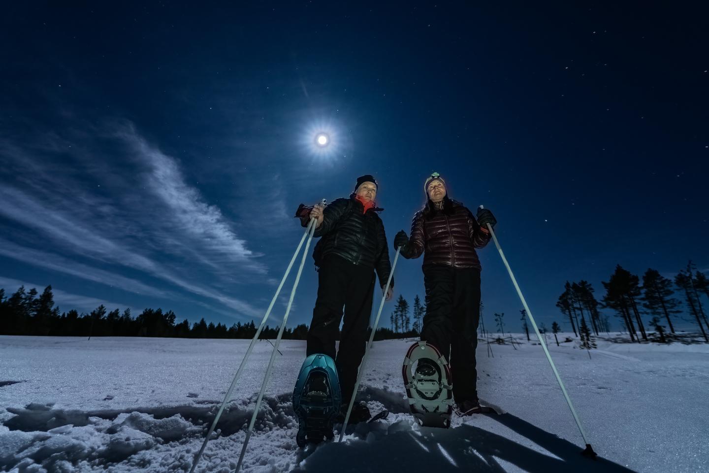 snowshoeing under a bright moonlit sky.