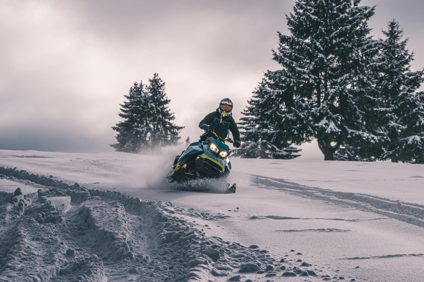 Snowmobile racing through snowy landscape with tall, snowy trees.