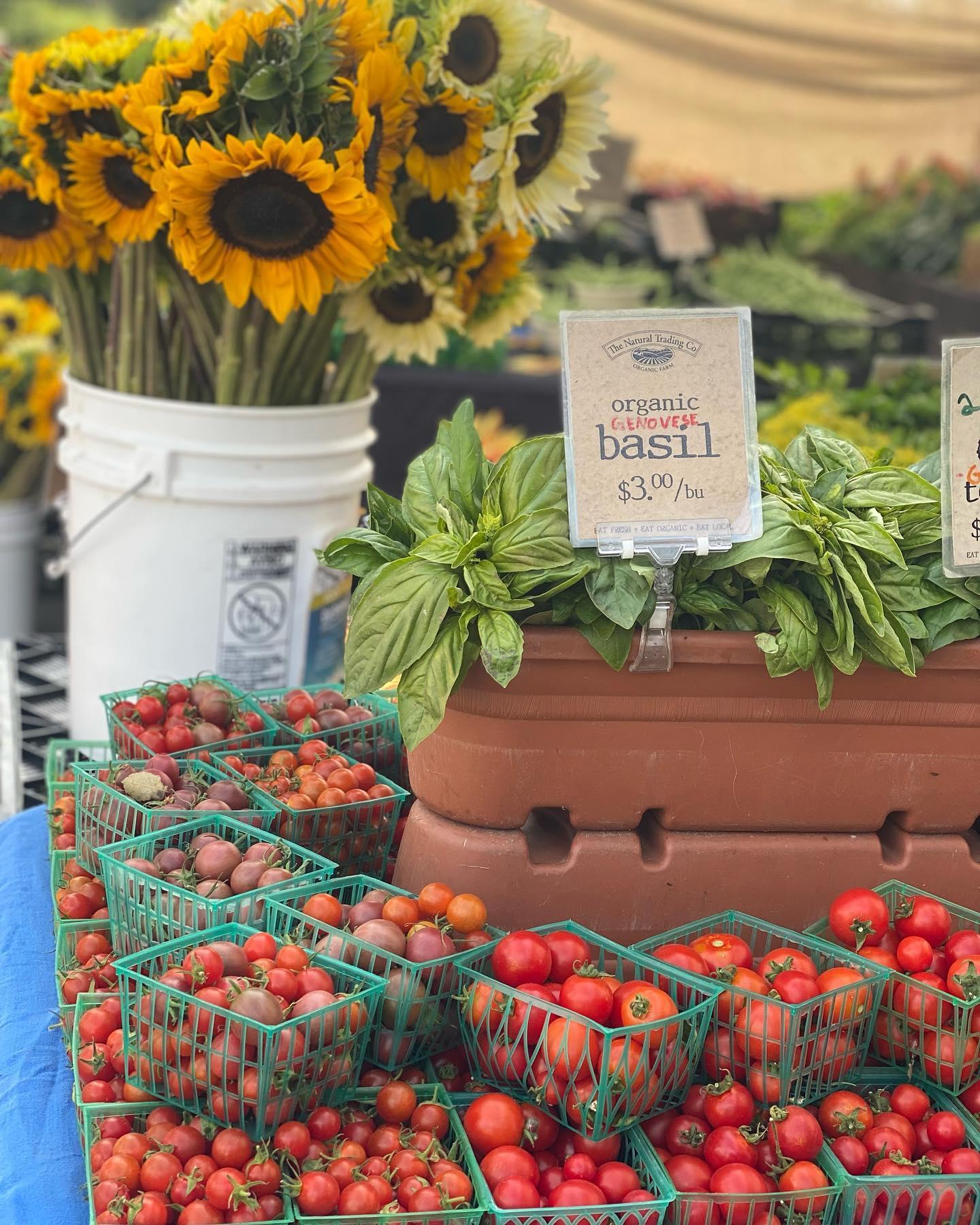Tahoe City Farmers Market / Sunflowers, basil, and tomatoes on display at a market.