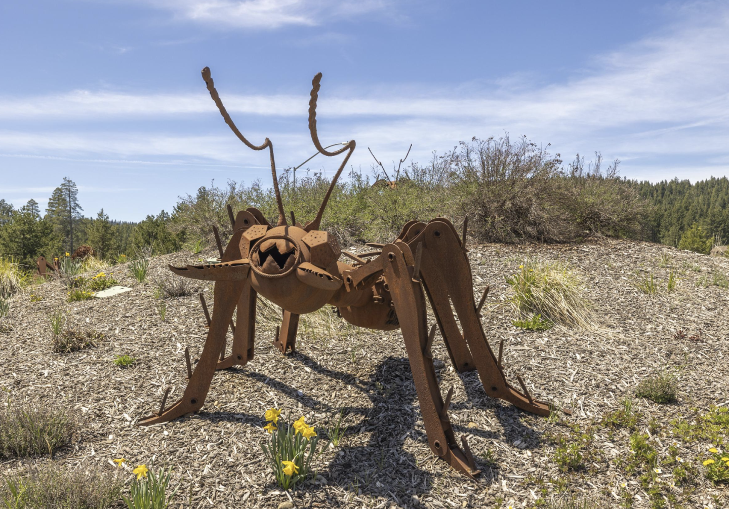 Rusty metal insect sculpture in a gravel landscape under a blue sky.