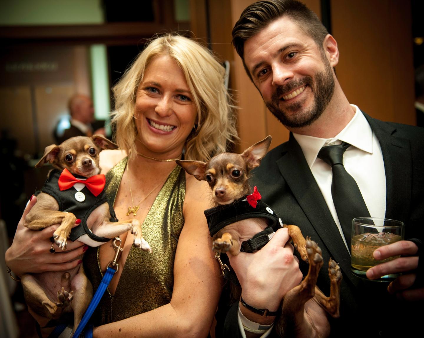 Woman and man in formal attire holding two small, dressed dogs.