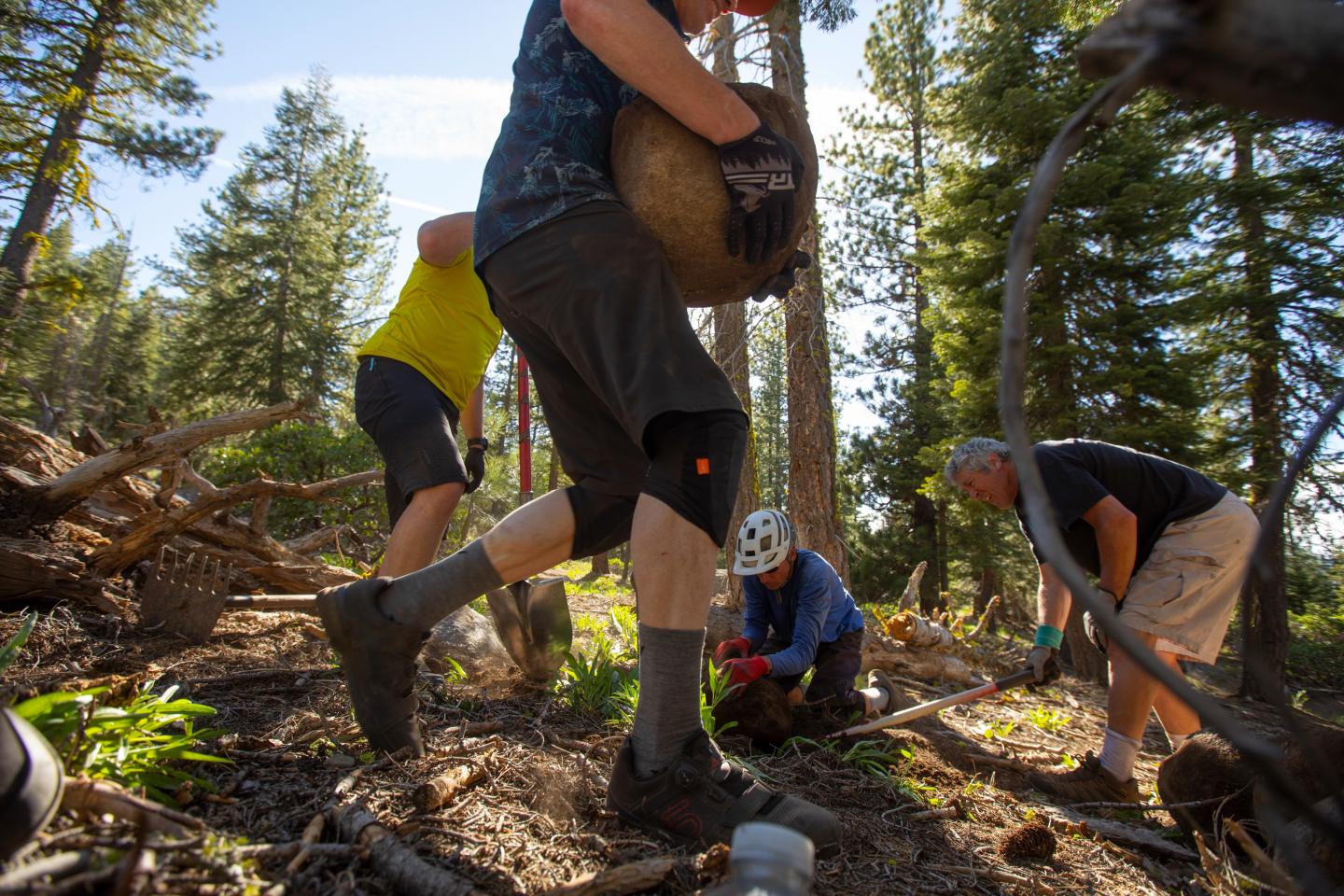 Volunteers working on a forest trail, carrying rocks, surrounded by trees.