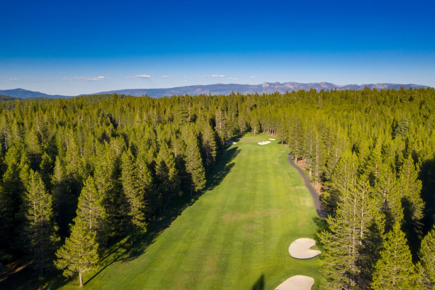 Golf course fairway surrounded by dense trees under a clear blue sky.