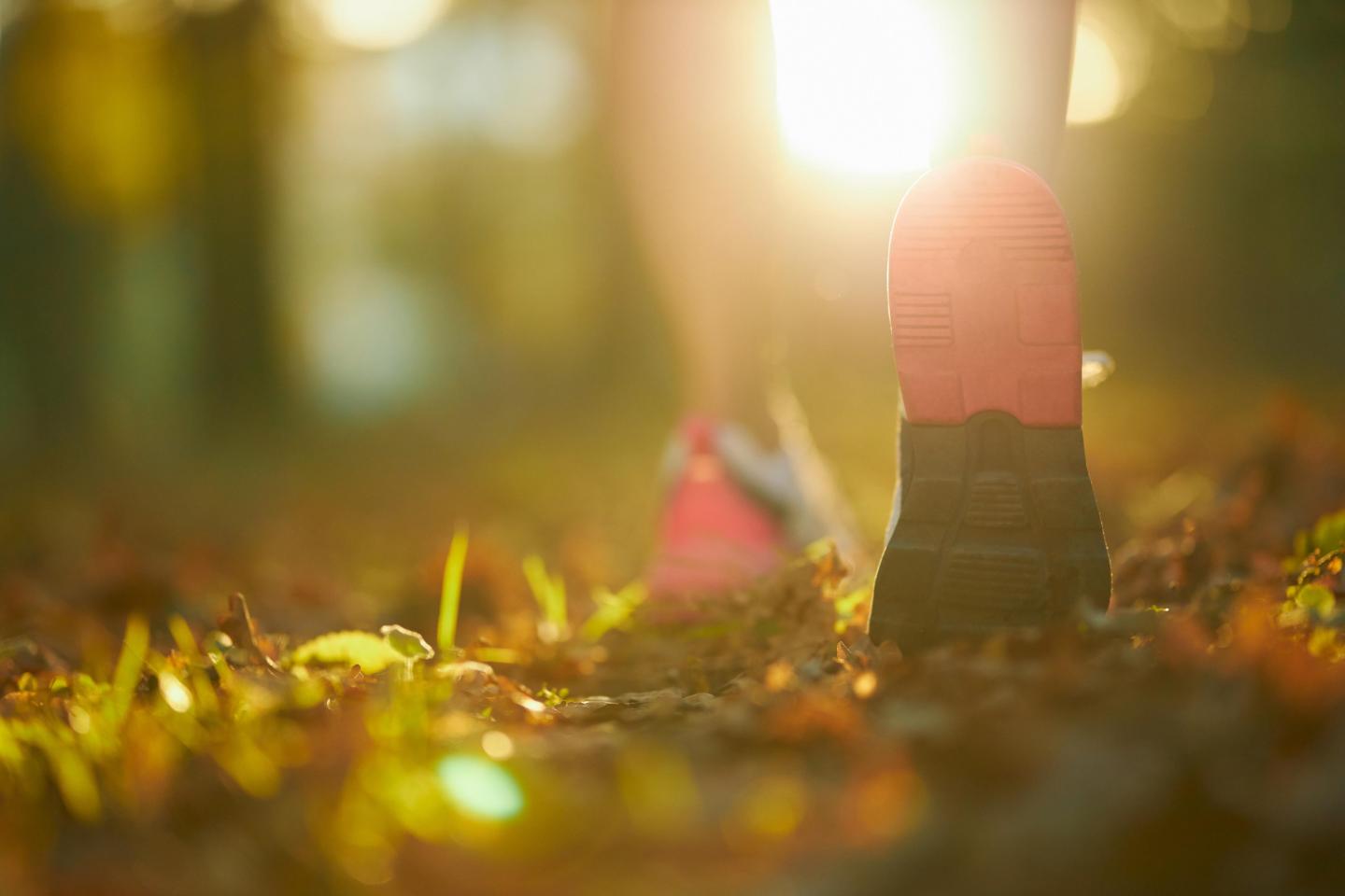 Runner's shoes on a sunlit, leaf-covered path.
