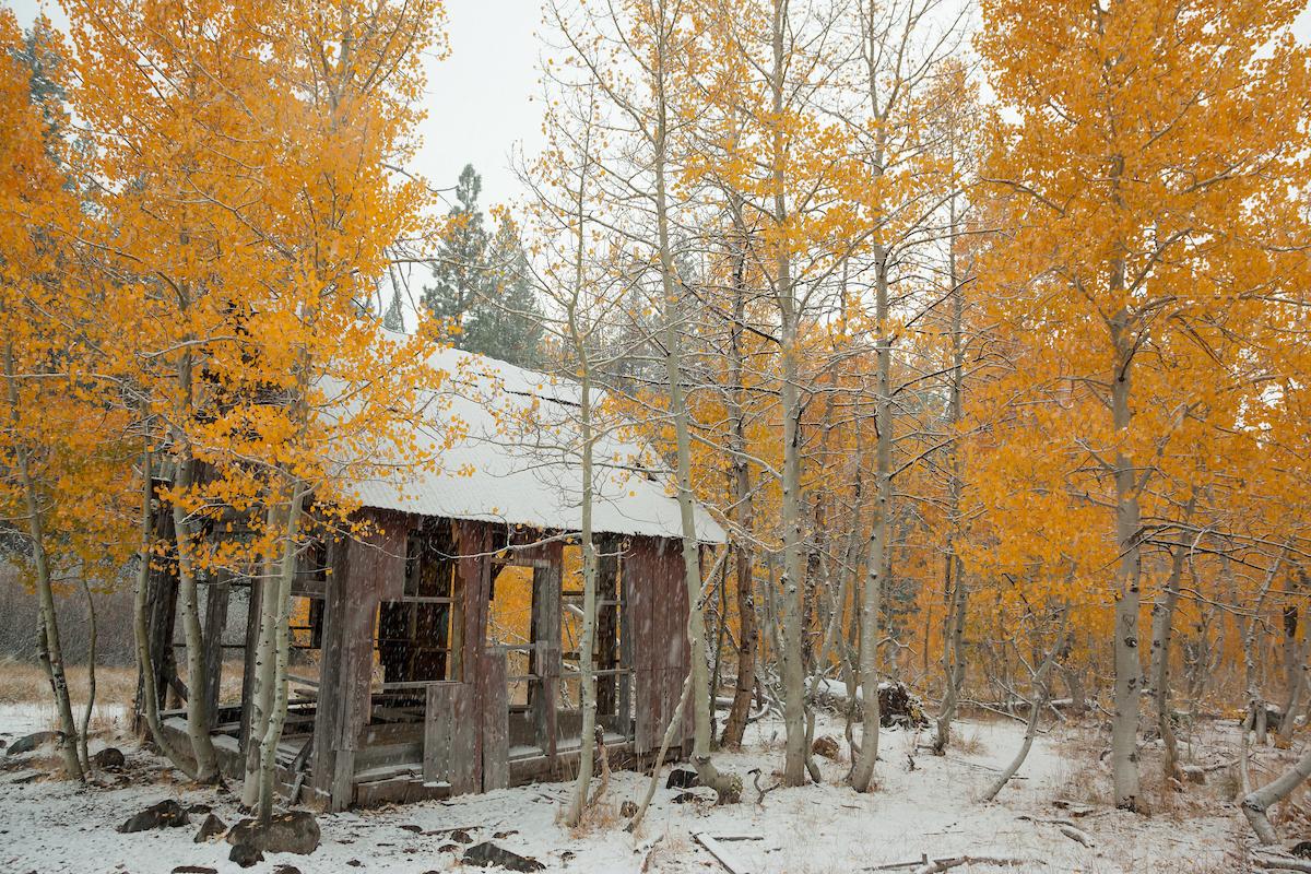 Rustic cabin surrounded by orange autumn trees and light snow.