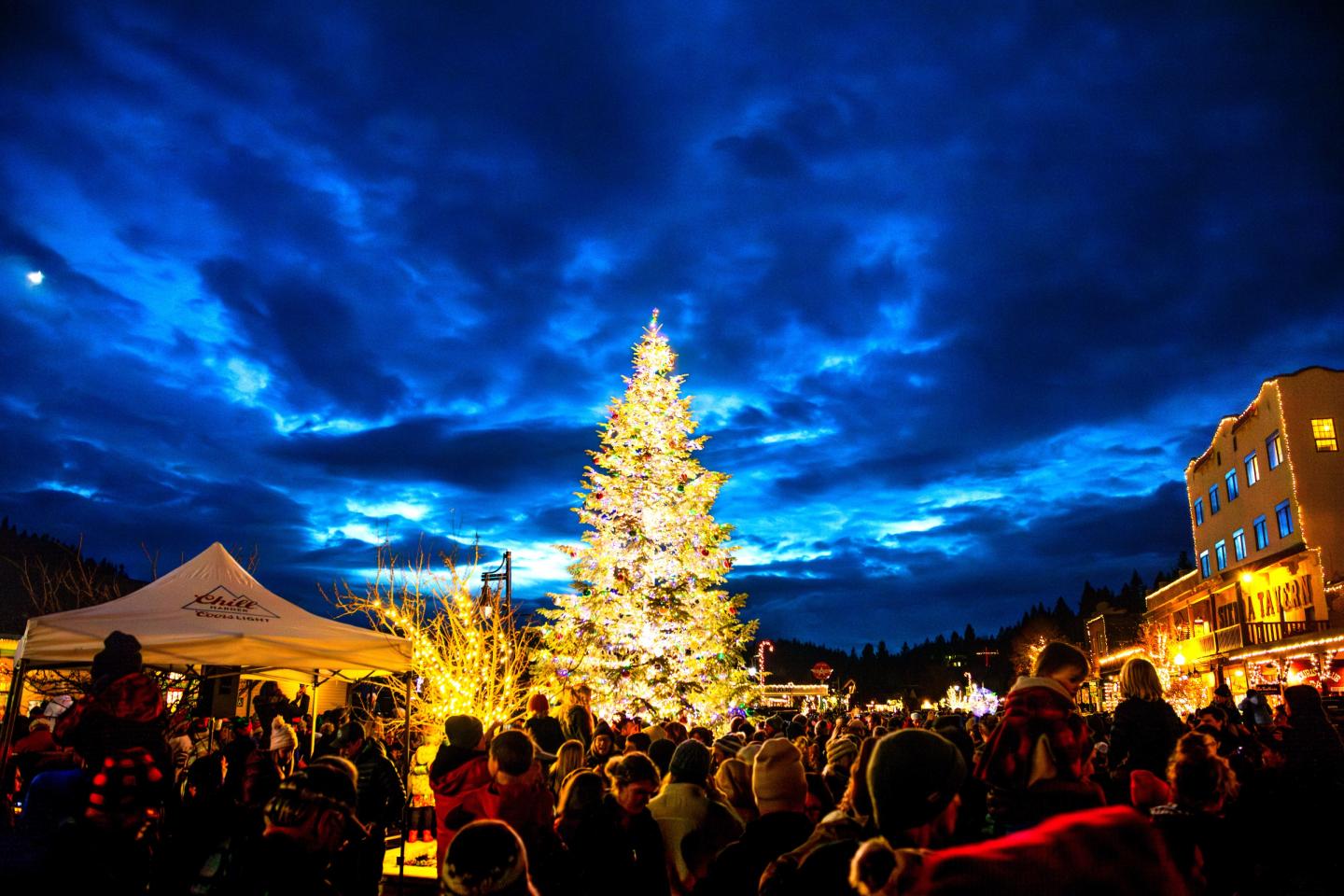 Crowd gathered around a lit Christmas tree under a deep blue evening sky.