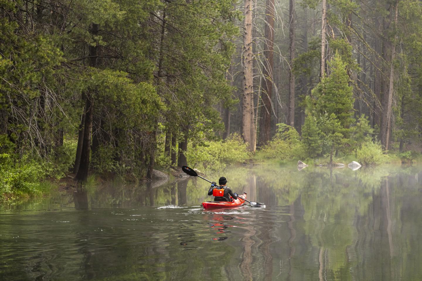 Kayaker in a red kayak on a misty forest lake.