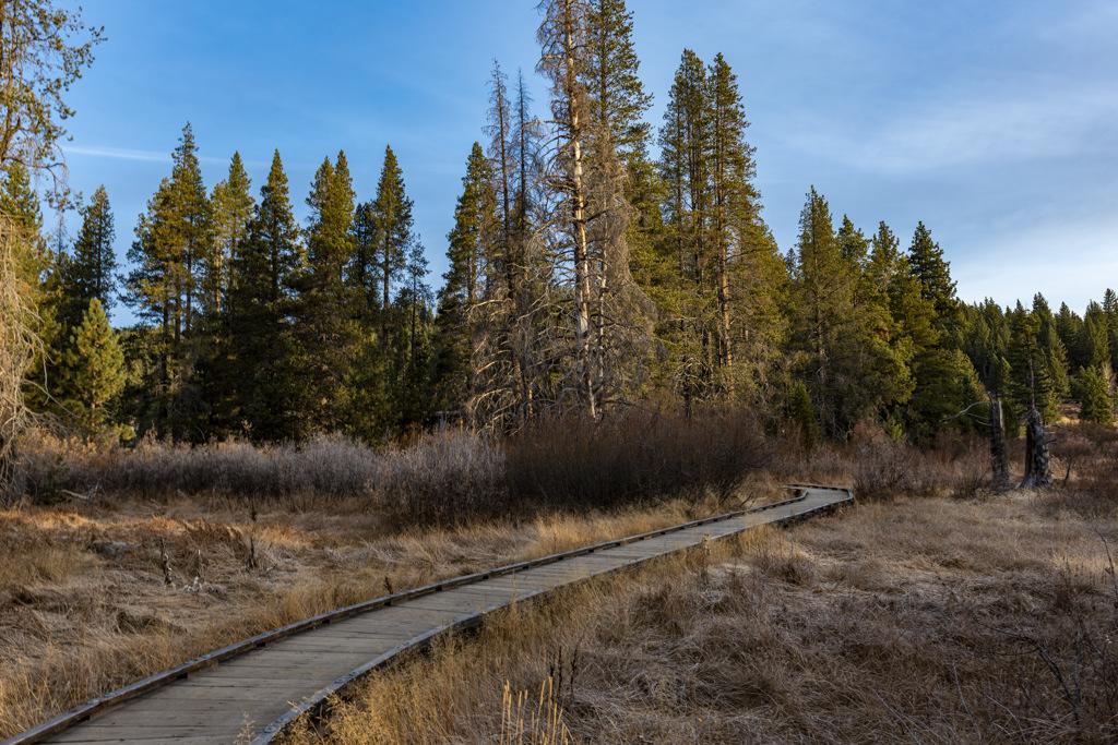 Donner Memorial State Park Nature Trail