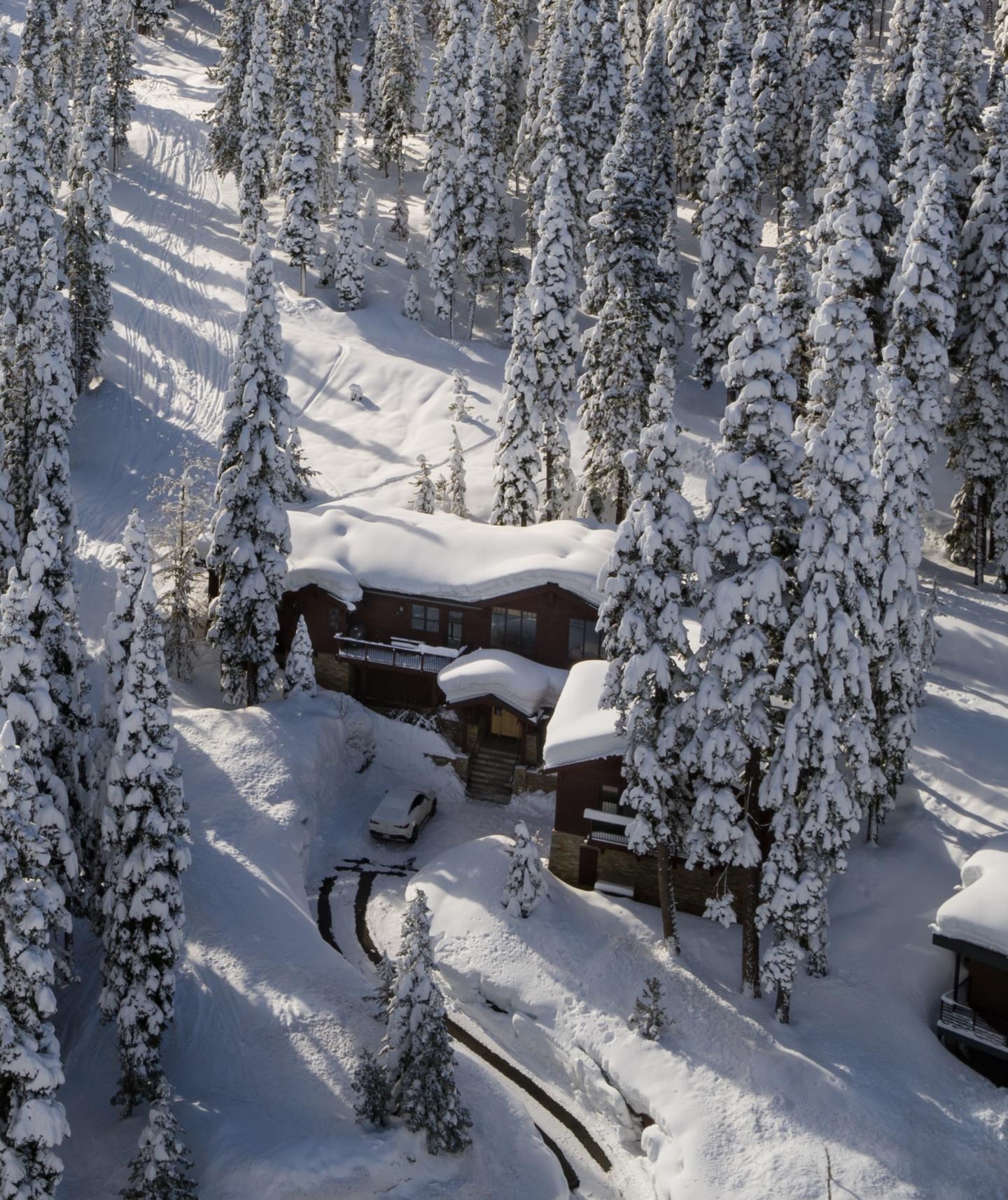 Cabin surrounded by snowy pine trees in a winter forest setting.