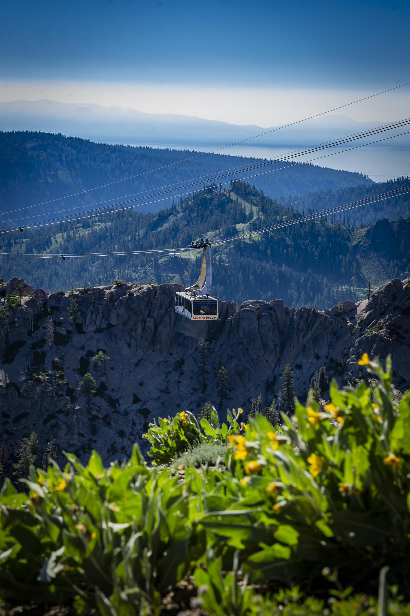 Cable car over mountain landscape with green foliage in the foreground.