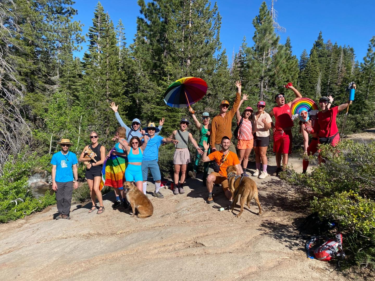 Group of people celebrating outdoors with rainbow umbrellas and trees in background.