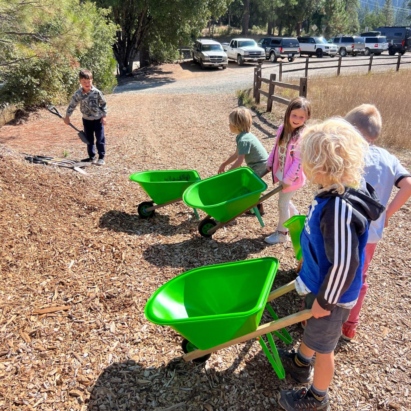 Children with green wheelbarrows on a sunny day, surrounded by trees and wood chips.