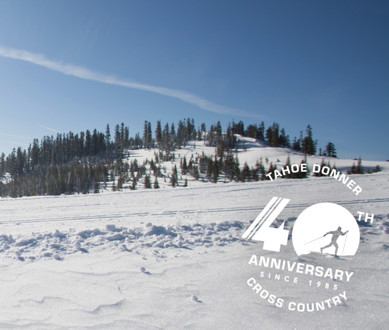 Snowy landscape with distant evergreen trees and a clear blue sky.