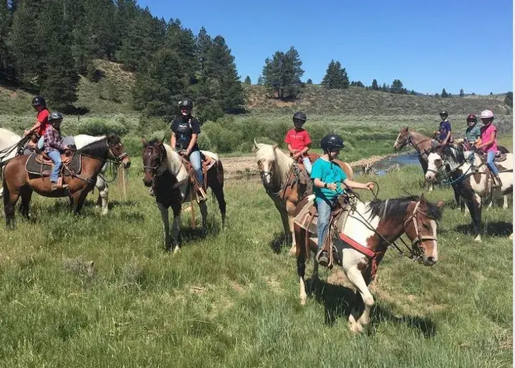 Kids riding horses through a grassy meadow under a clear blue sky.