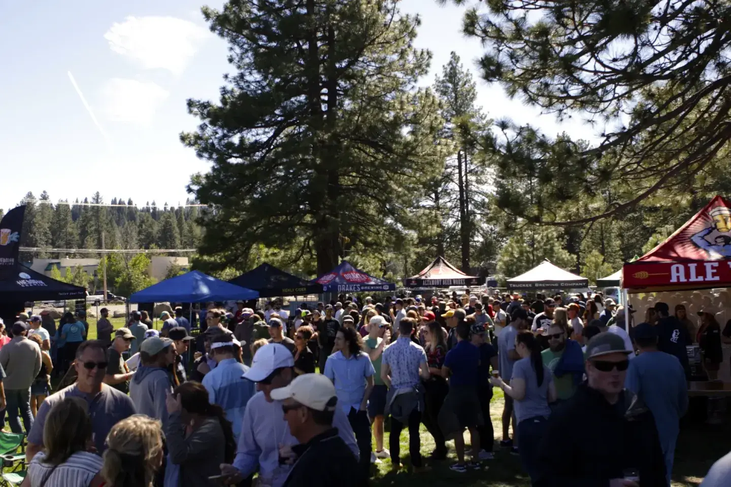 Crowd at an outdoor festival with tents and tall pine trees.