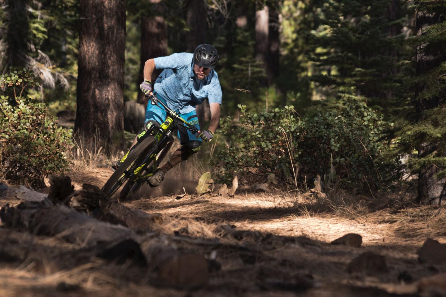 Mountain biker navigating a forest trail under dappled light.