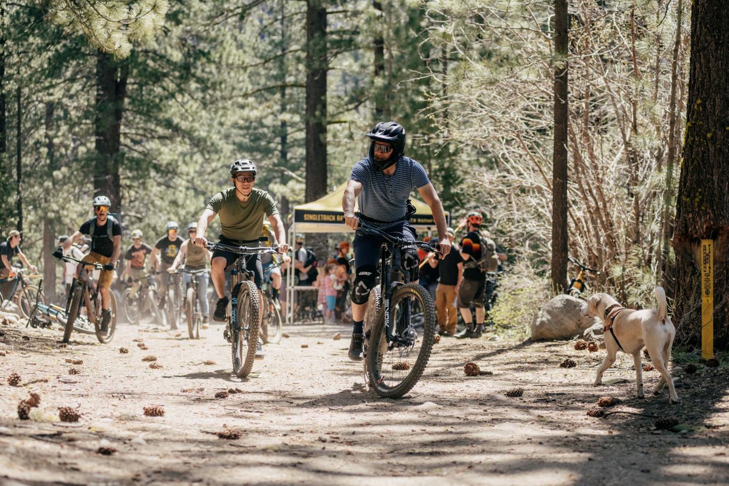 Mountain bikers racing on a forest trail, watched by a crowd and two dogs.
