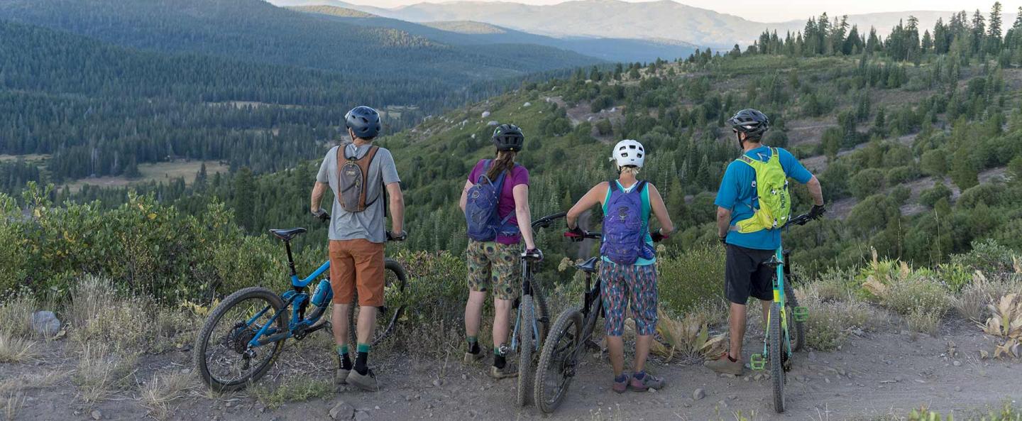 Cyclists overlooking a scenic forested valley.