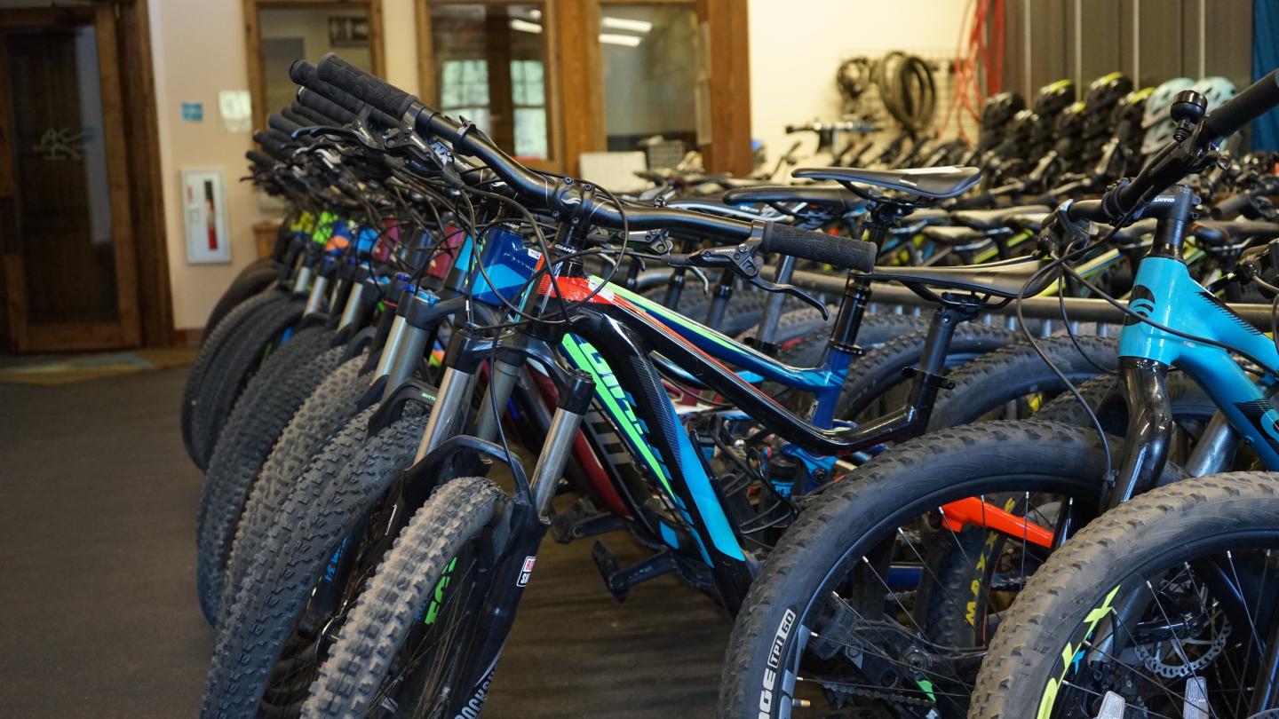 Bicycles lined up in a room with wooden doors.