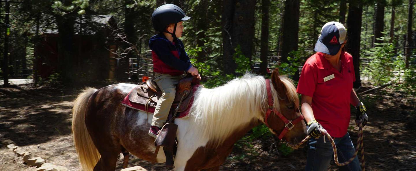 Child riding a pony led by an adult in a forest setting.