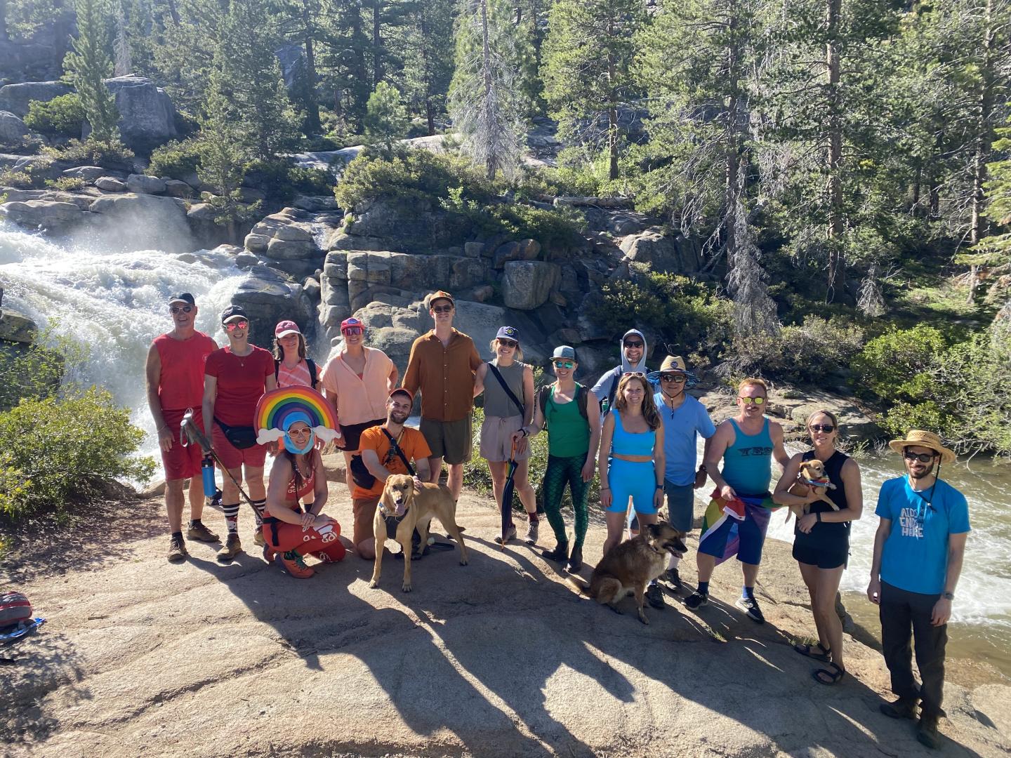 Group hiking by a waterfall and trees, several people with dogs, sunny day.