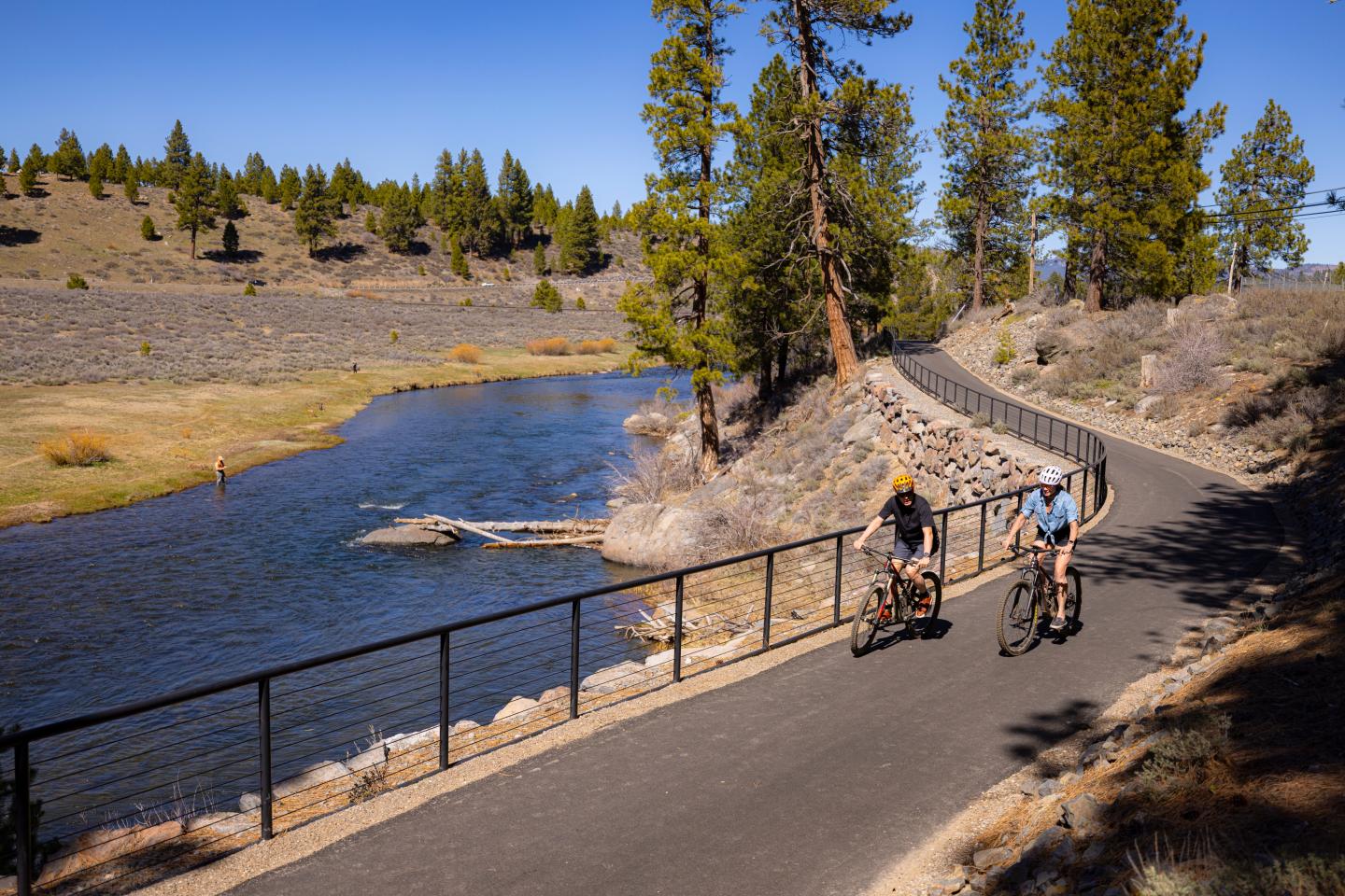 Cyclists on a scenic riverside path with pine trees under a clear blue sky.