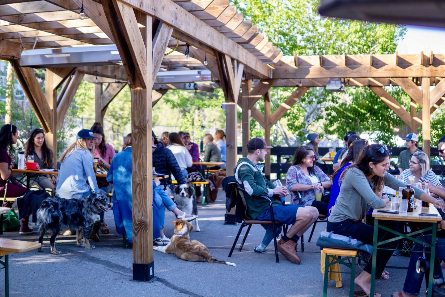 Outdoor café with people sitting, a dog lying on the ground, sunny weather.