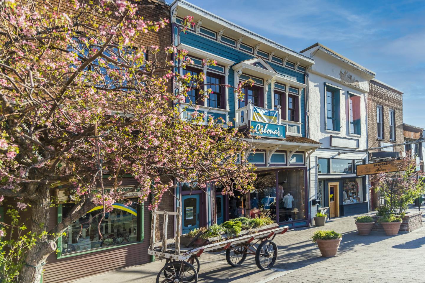 Charming street with blooming trees and colorful historic buildings.