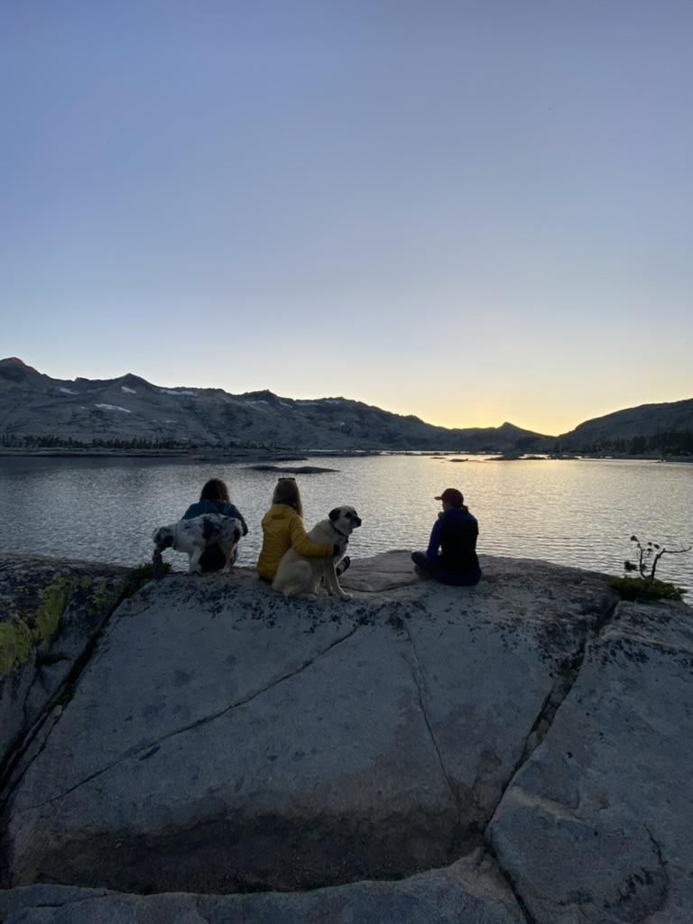 Three people and a dog sit on rocks by a lake at sunset.