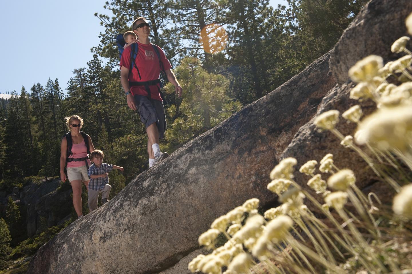 Family hiking on a rocky trail with trees in the background.