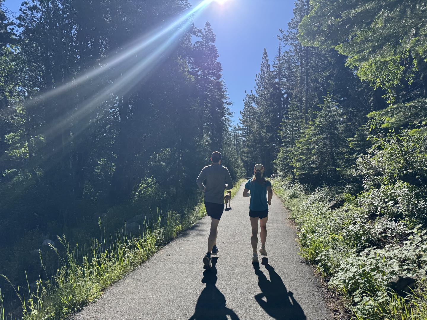 Two people jog on a sunlit forest path, surrounded by tall trees.