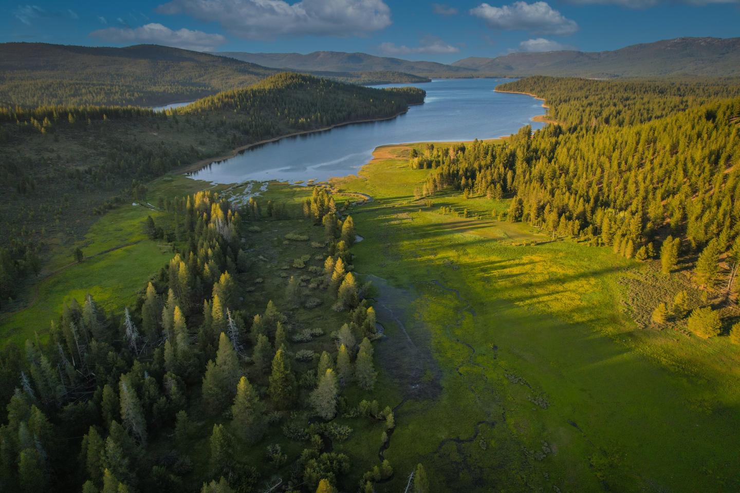Aerial view of a serene lake surrounded by lush green forest and hills.