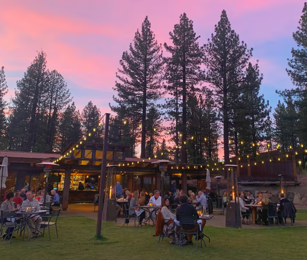 Outdoor gathering at sunset with string lights and tall trees.