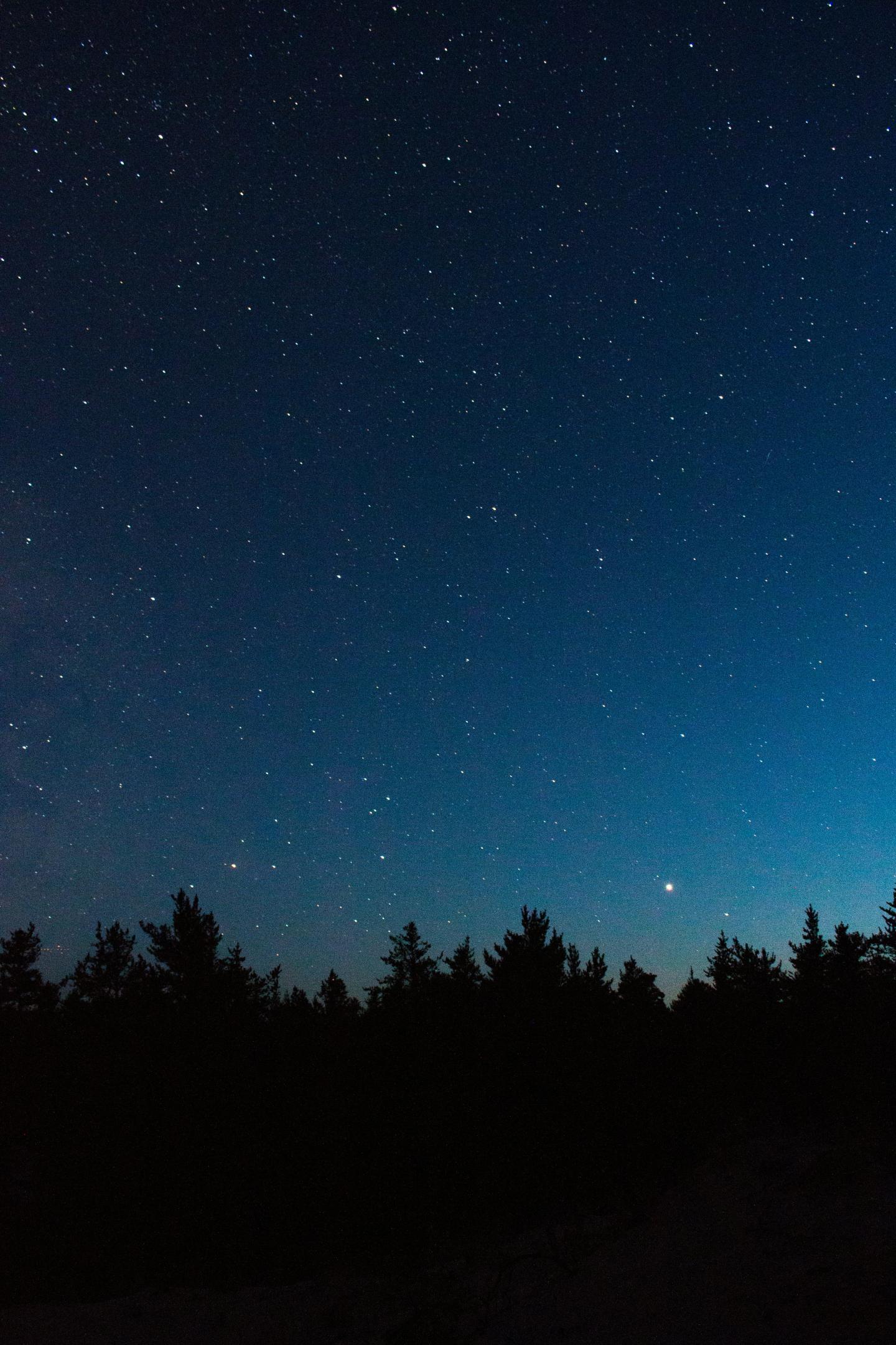Starry night sky over silhouetted trees.