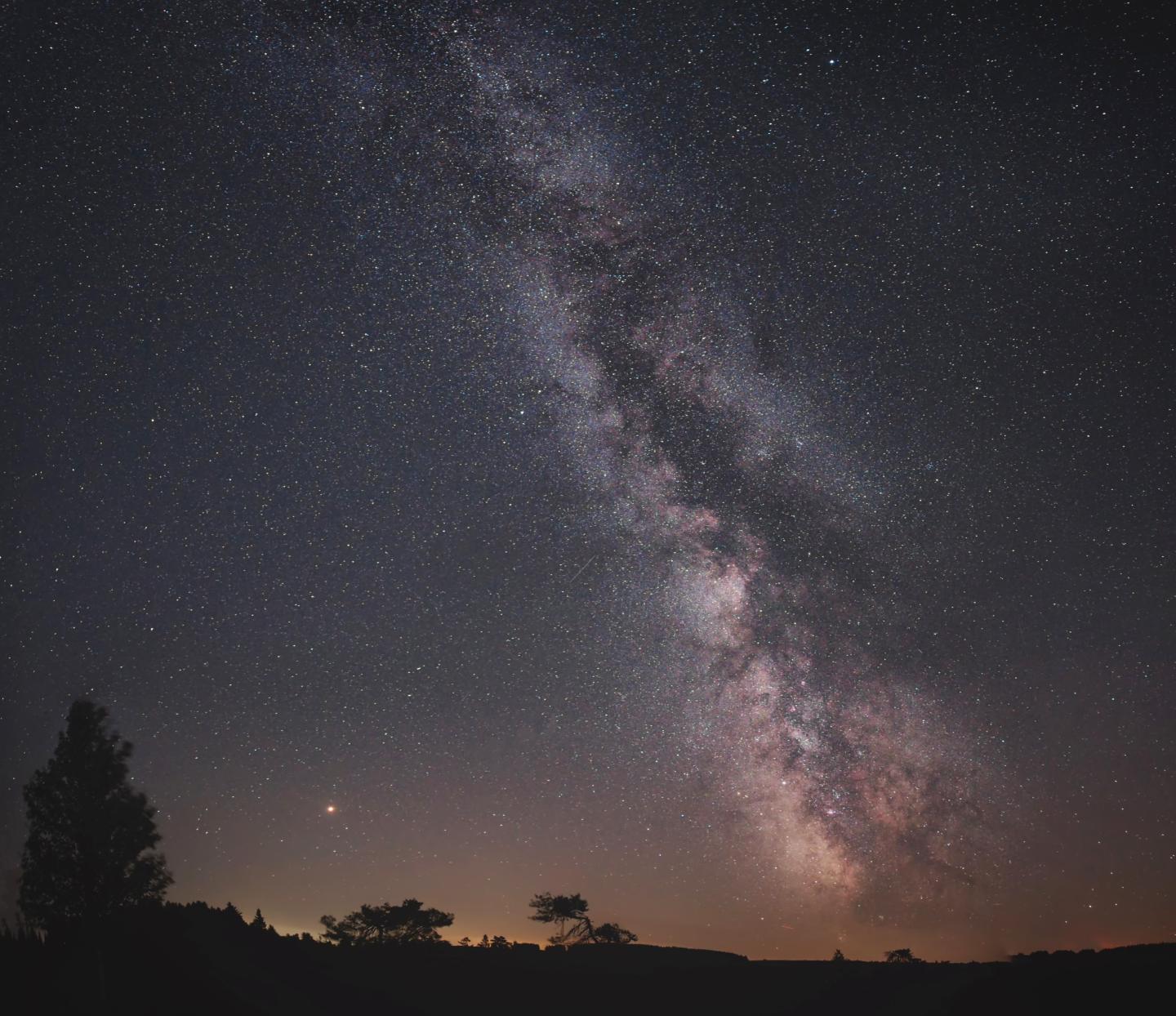 Milky Way galaxy over silhouetted trees in a dark night sky.