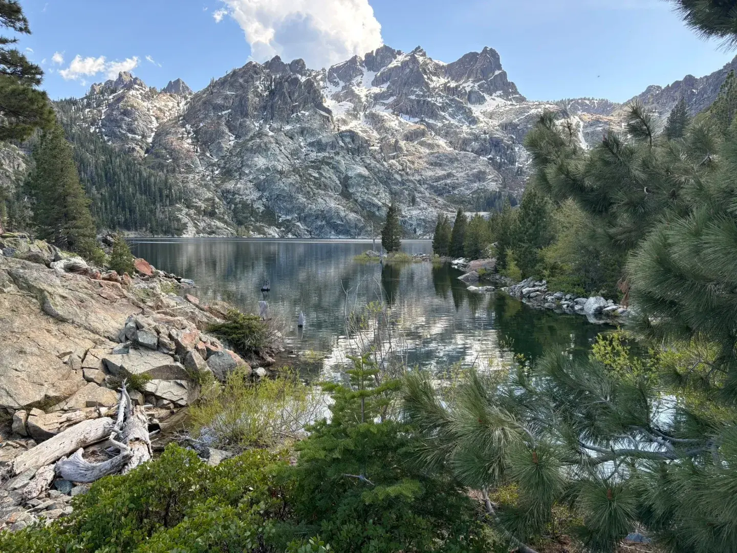 Mountain lake with rocky peaks and pine trees, clear blue sky above.