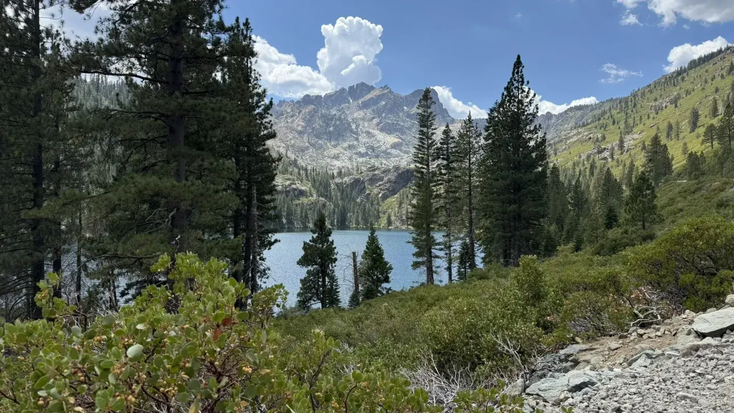 Mountain lake surrounded by pine trees, under a cloudy sky.