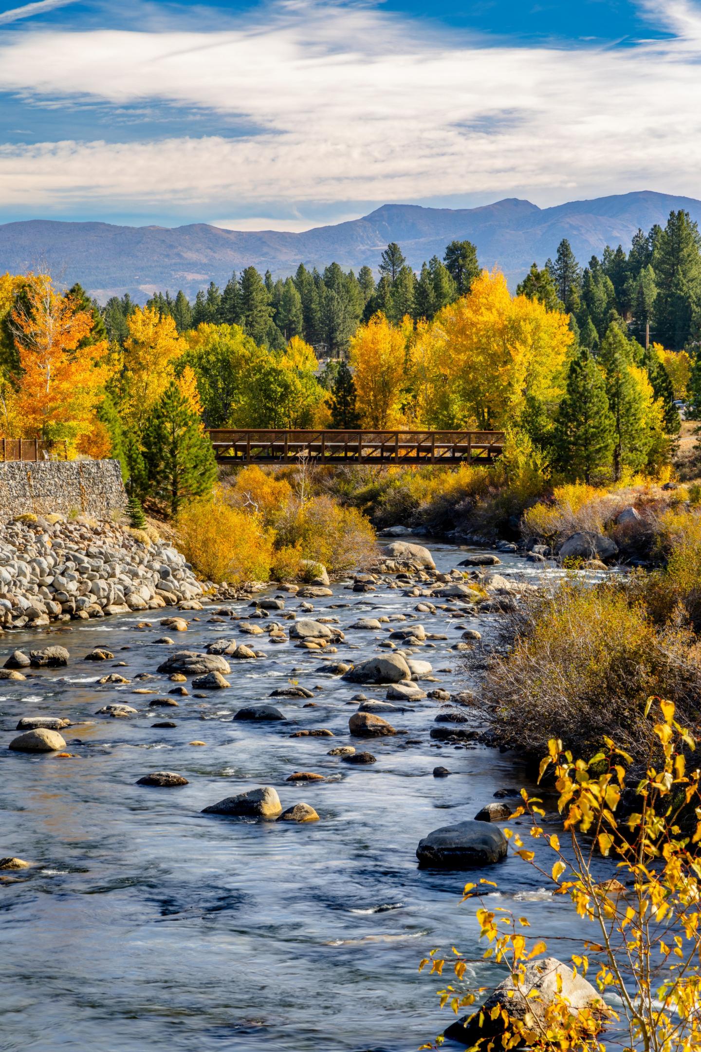 River flowing through autumn forest with blue sky and mountains.