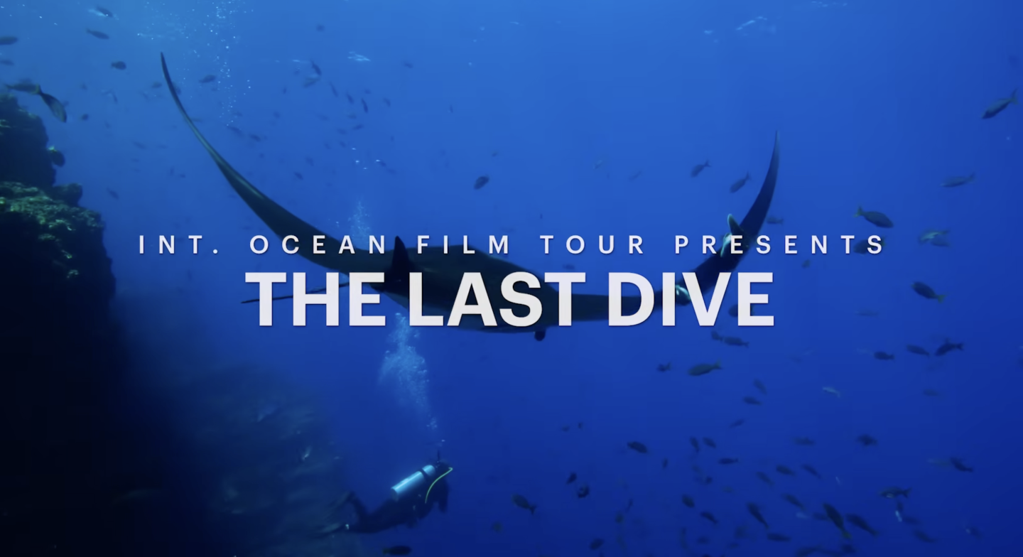 The Last Dive title over a blue underwater ocean scene with a diver and fish