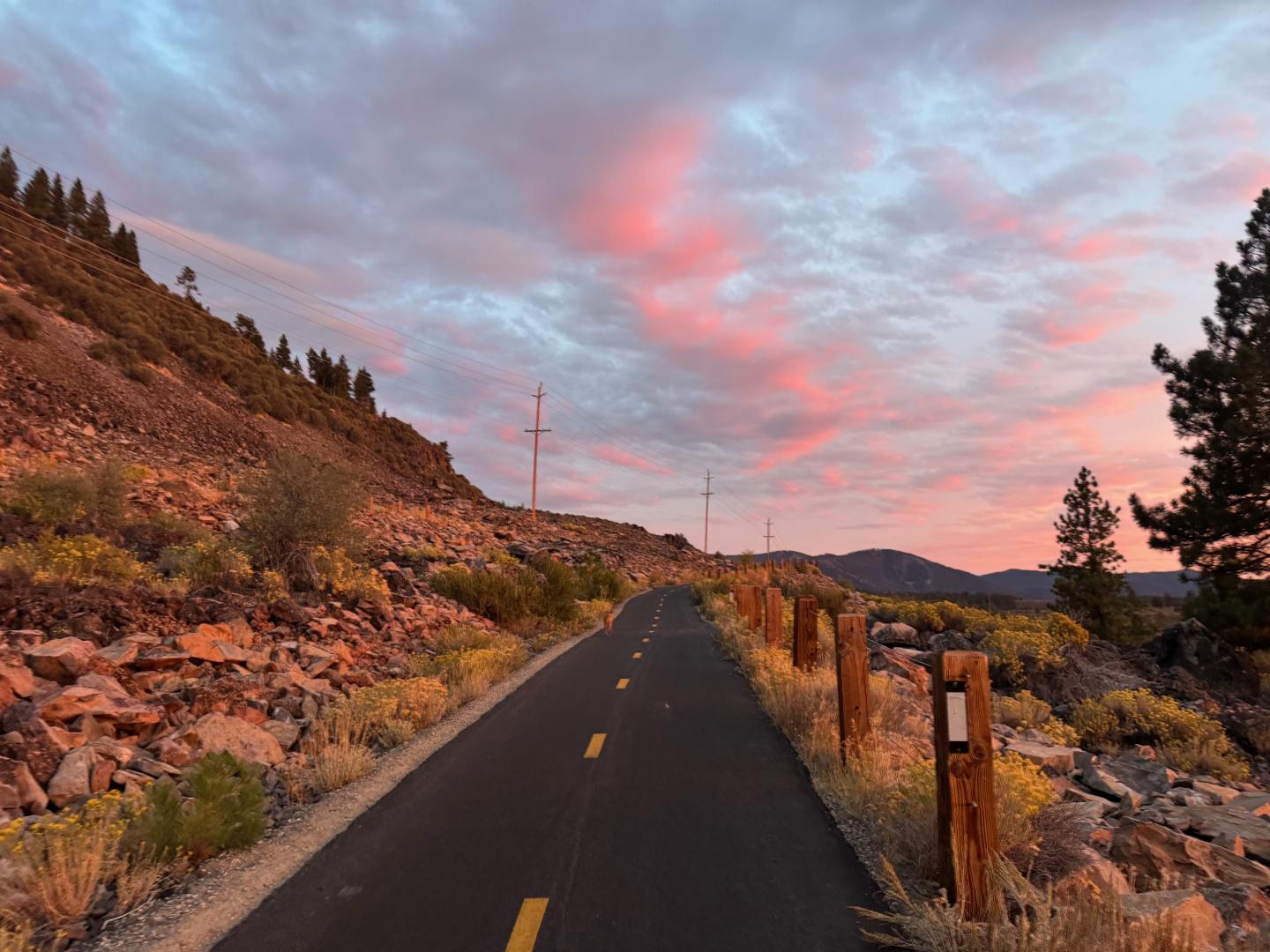 Empty mountain road at sunset, lined with rocky hills and pine trees