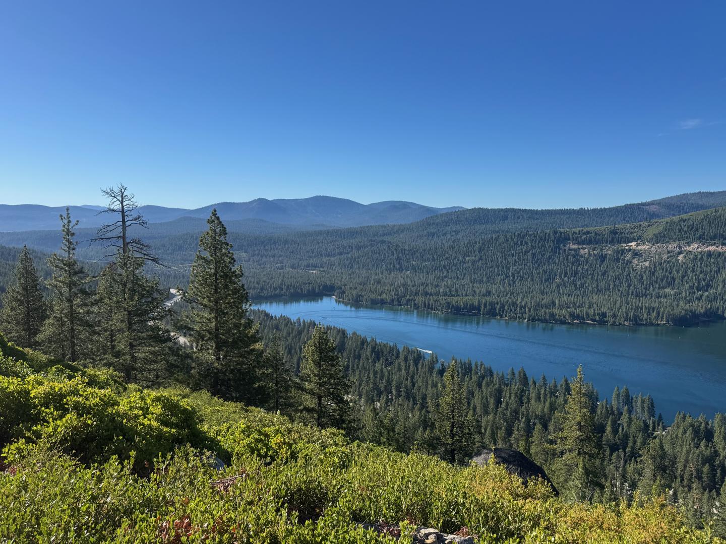 Mountain lake surrounded by evergreen forest under a clear blue sky.