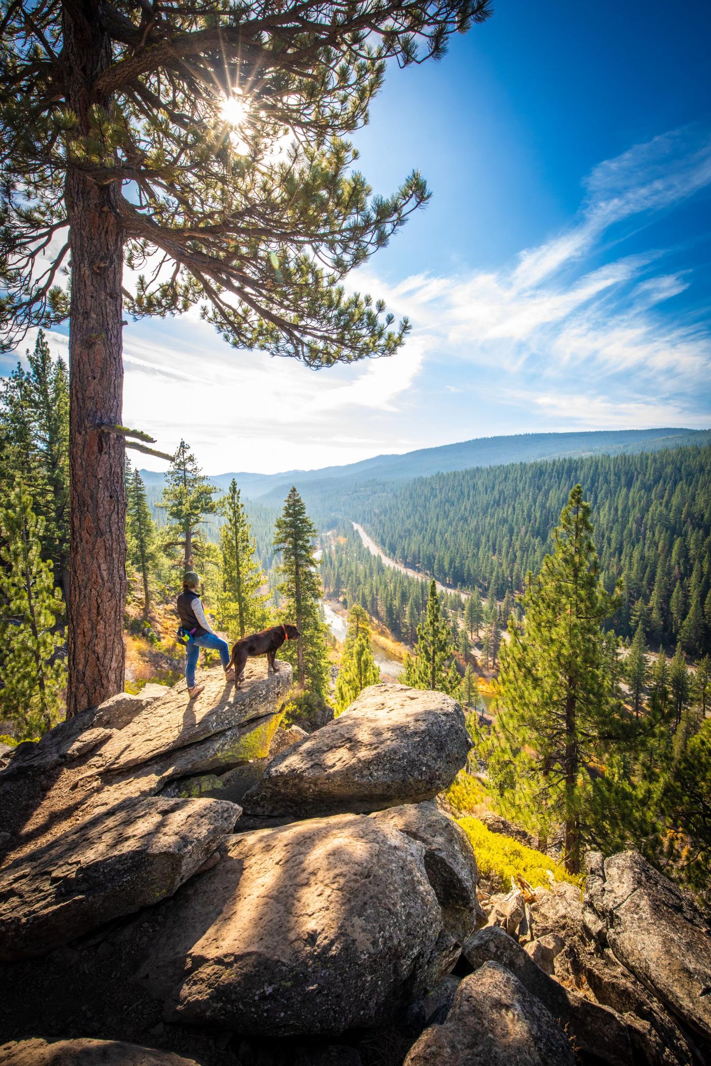 Sunlit pine forest and rocky overlook above a green mountain valley.