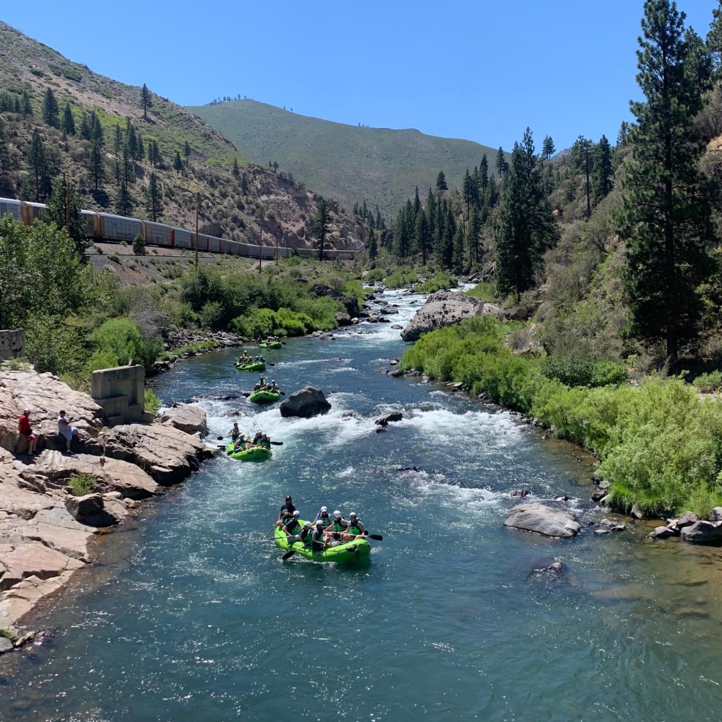 Kayakers paddle down a rocky mountain river beside a road and pine-covered slopes.